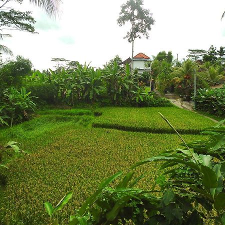 Mandala Hostel Ubud מראה חיצוני תמונה