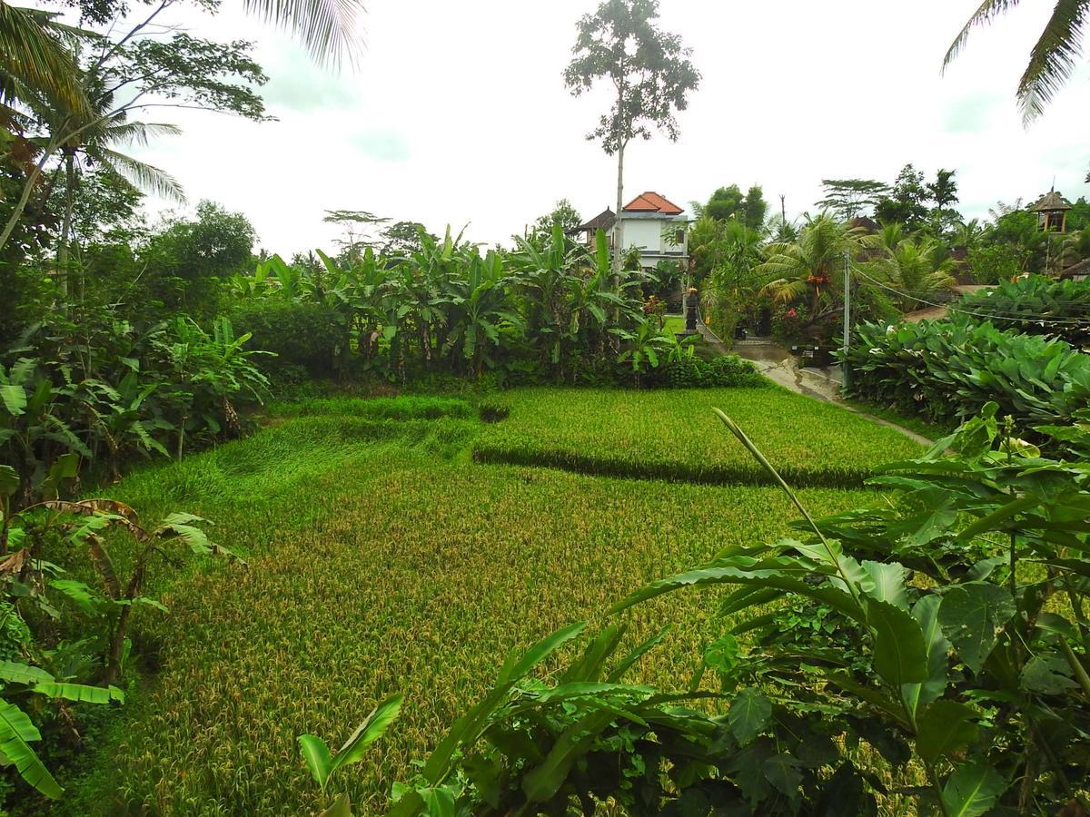 Mandala Hostel Ubud מראה חיצוני תמונה
