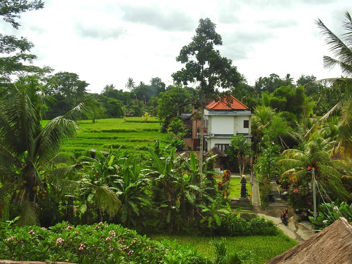 Mandala Hostel Ubud מראה חיצוני תמונה