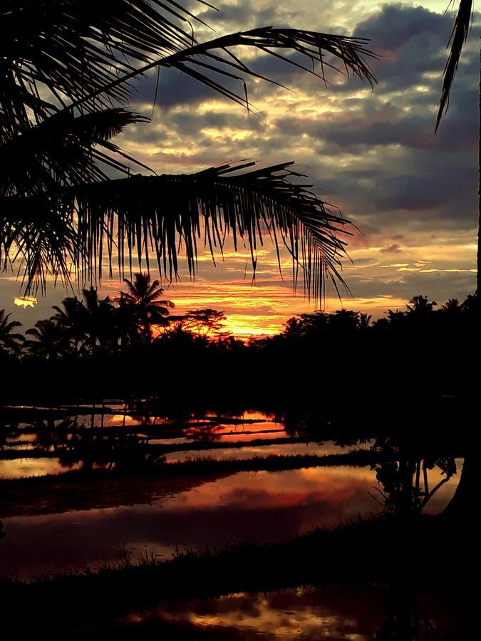 Mandala Hostel Ubud מראה חיצוני תמונה