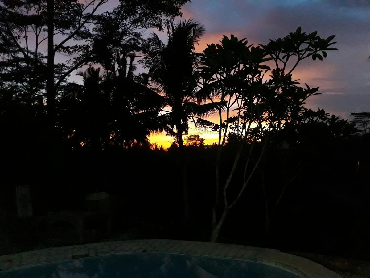 Mandala Hostel Ubud מראה חיצוני תמונה