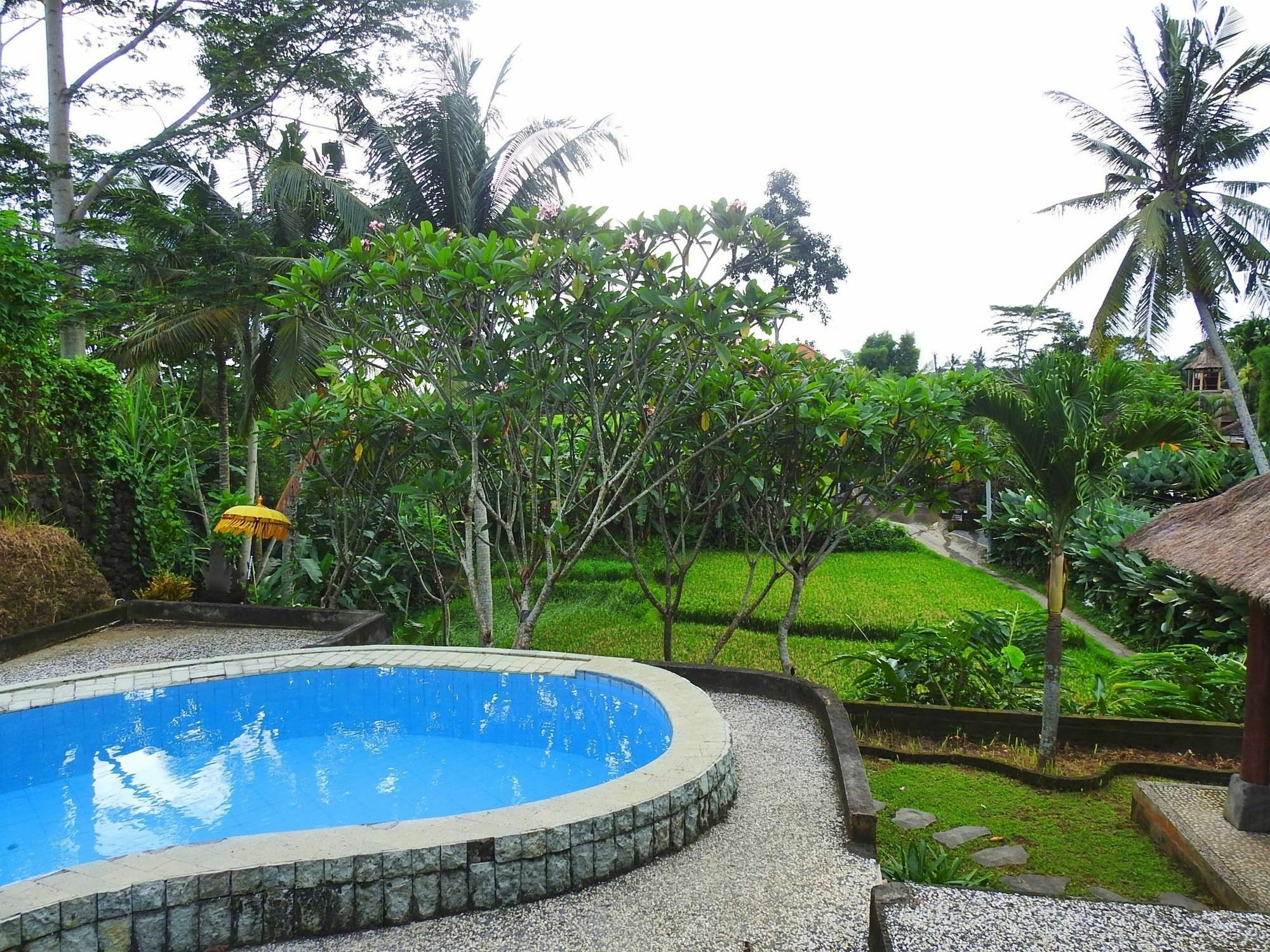 Mandala Hostel Ubud מראה חיצוני תמונה