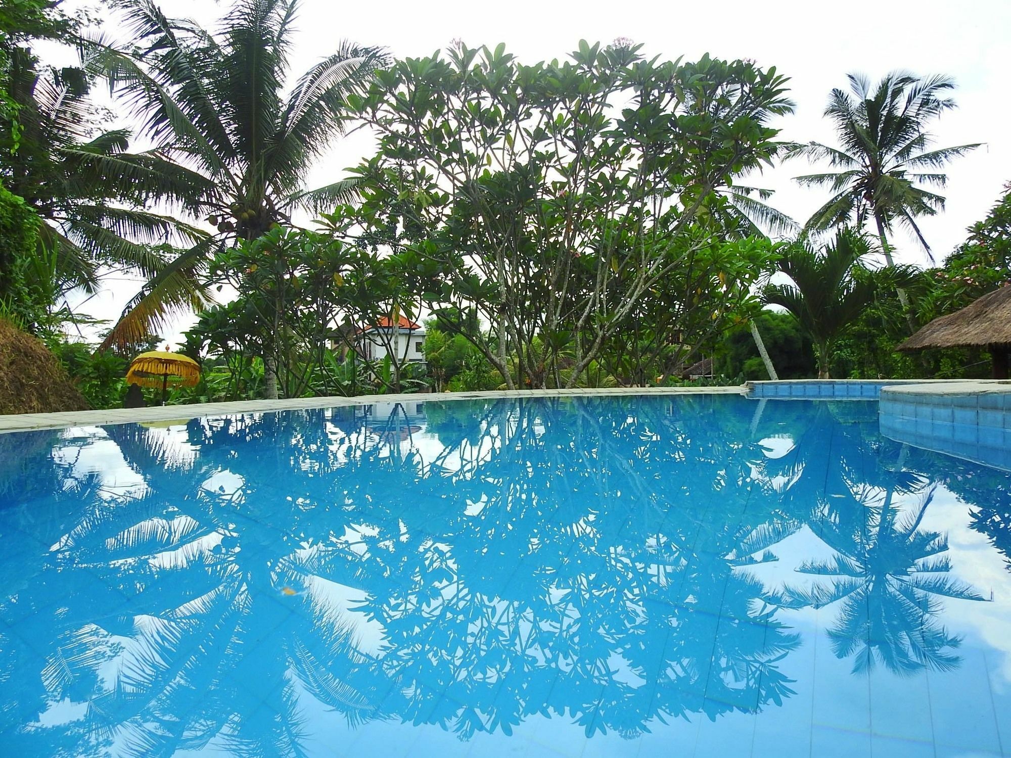 Mandala Hostel Ubud מראה חיצוני תמונה